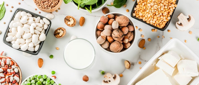 vegan protein options such as nuts and tofu